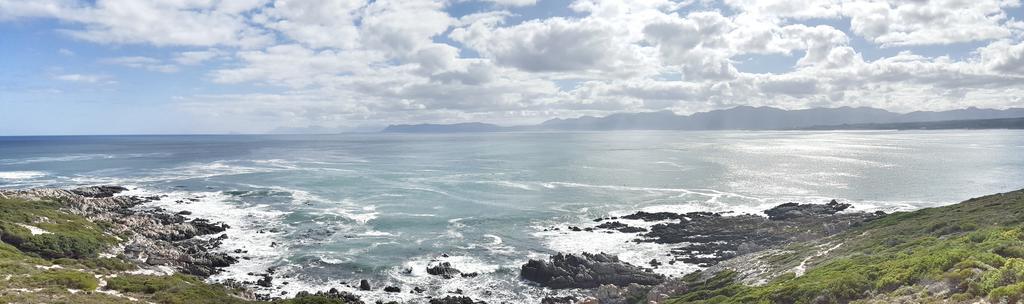 Whale Huys Luxury Oceanfront Eco Villa Gansbaai Buitenkant foto
